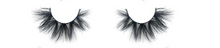Load image into Gallery viewer, Destination Diamond Mink 3D Lashes - Diamond Delicates